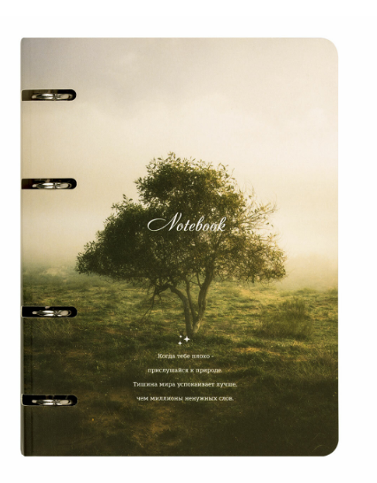 Тетрадь на кольцах А5, 120 листов, картон, матовая ламинация, клетка, BRAUBERG, «Nature», 404728