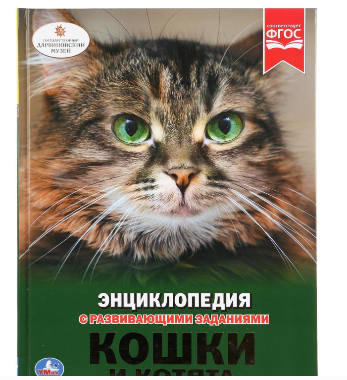 Энциклопедия. Кошки и котята, А4, 48 стр, 978-5-506-02698-3