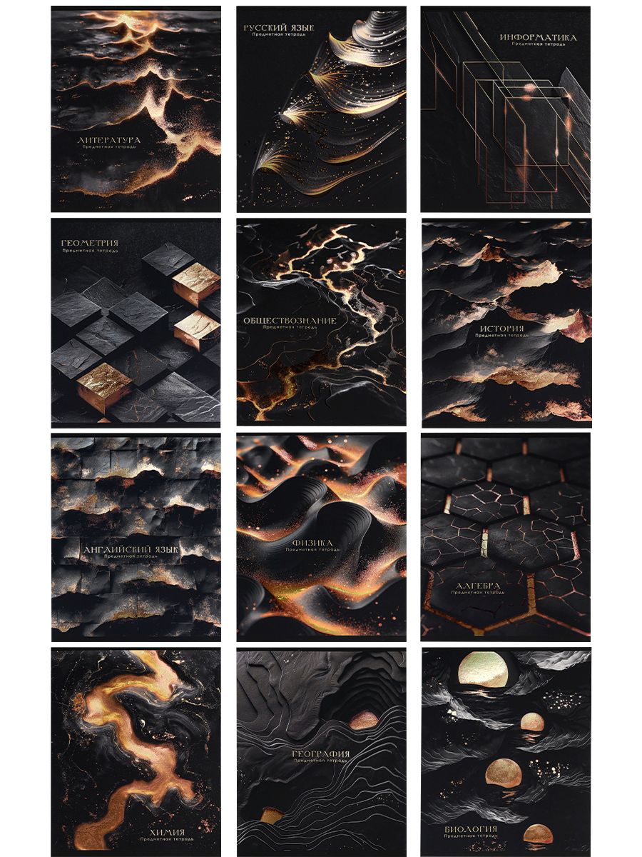 Комплект предметных тетрадей 48л. «BLACK&GOLD», х.фол,софт-тач,выб.л, (12 шт;уп), 48-2718
