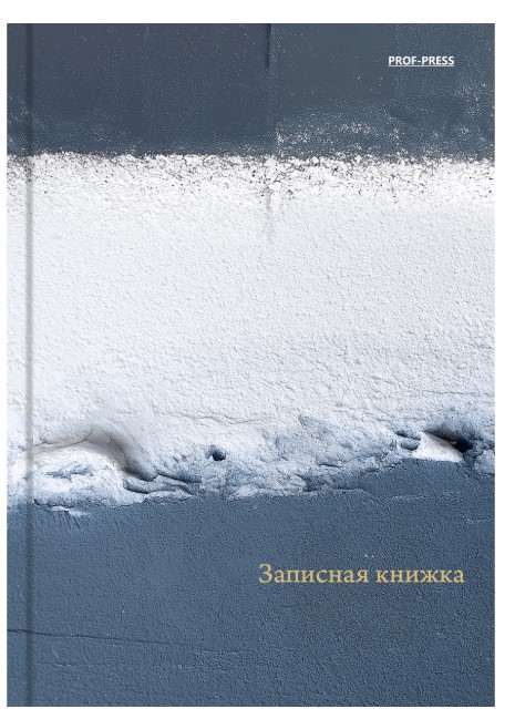 ЗАПИСНАЯ КНИЖКА. А6 160л. СЕРО-БЕЛАЯ ТЕКСТУРА, 7БЦ, глянц.ламин., цвет.мелов.обл, 160-7189
