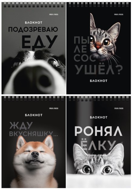 БЛОКНОТ А6 40л. на гребне СМЕШНЫЕ ПИТОМЦЫ, ассорти, Б40-7018