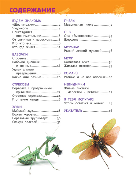 dadc89e0c14b92cf187dcf5cba48db0b