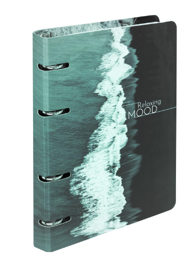 Тетрадь на кольцах А5 160х212 мм, 120 листов, картон, клетка, BRAUBERG, Relax, 404725