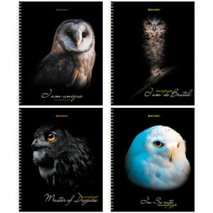 Тетрадь А5, 96л. "BRAUBERG.Cовы", клетка , твердая обложка , на гребне, 404443