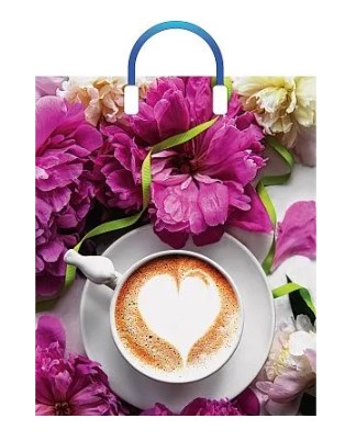 Пакет ПЭ с пластмассовыми ручками 38х45+3см (х5) (Паула), ПЛР51149