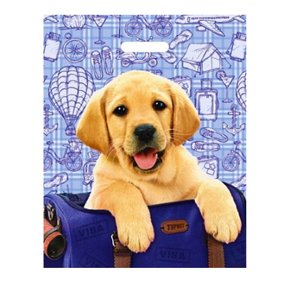 Пакет ПЭ с вырубной ручкой 38х47+6см (60) (Турист) ламинированный, ВУР47664