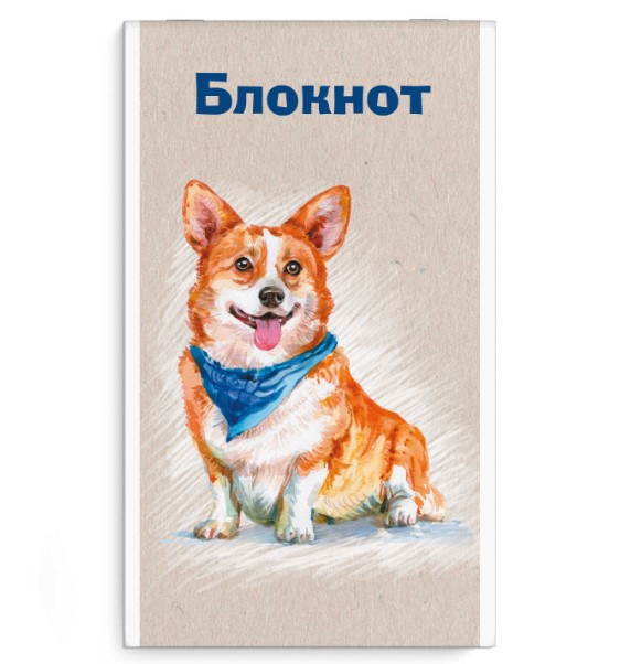 Блокнот, А6, 40 л, вн.блок - клетка, 58078