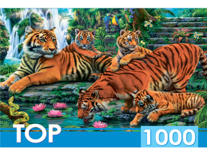 TOPpuzzle. ПАЗЛЫ 1000 элементов. Семейство тигров, ХТП1000-2160