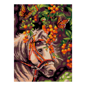 Алмазная мозаика 30х40 см ,"Белая лошадь", (полное заполнение), Ам-012