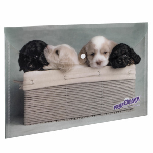 Папка конверт с кнопкой ЮНЛАНДИЯ "Щенки", А4 , 160 мкм , до 100 листов, 228050