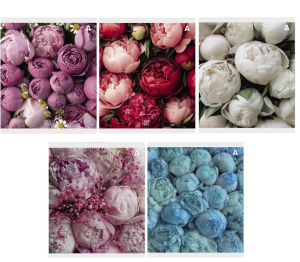 Снимок экрана 2026-04-21 090852