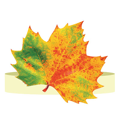 Ободок 'Осенний лист', 5КP-030