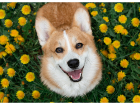 534
