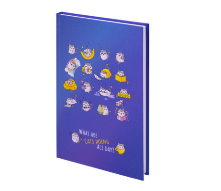Блокнот А5 80 л BRAUBERG KIDS Котики 114417