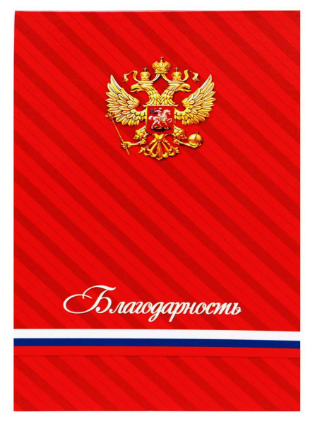 Папка адресная А4 Prof Press 'Благодарность' ламинат, АП-9710