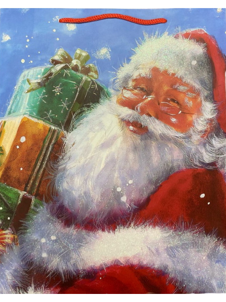 Пакет подарочный Dream Cards 'Дедушка Мороз и подарки' 18х23х10 см (М), мат. лам., ППК-3710