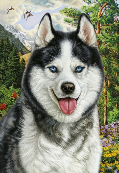 Алмазная мозайка 'Портрет хаски' (класс.) 22х32 см, с подрамником 24 цвета, НД-8554