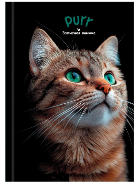 ЗАПИСНАЯ КНИЖКА А6 160л. ЗЕЛЕНОГЛАЗЫЙ КОТИК, 7БЦ, глянц.лам, 160-9506